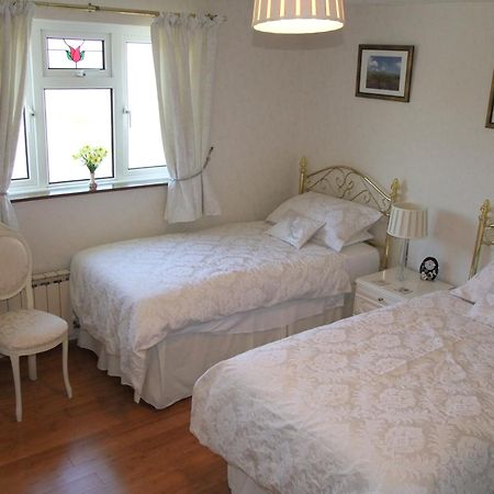 Erw-Lon Farm Bed & Breakfast Pontfaen Oda fotoğraf